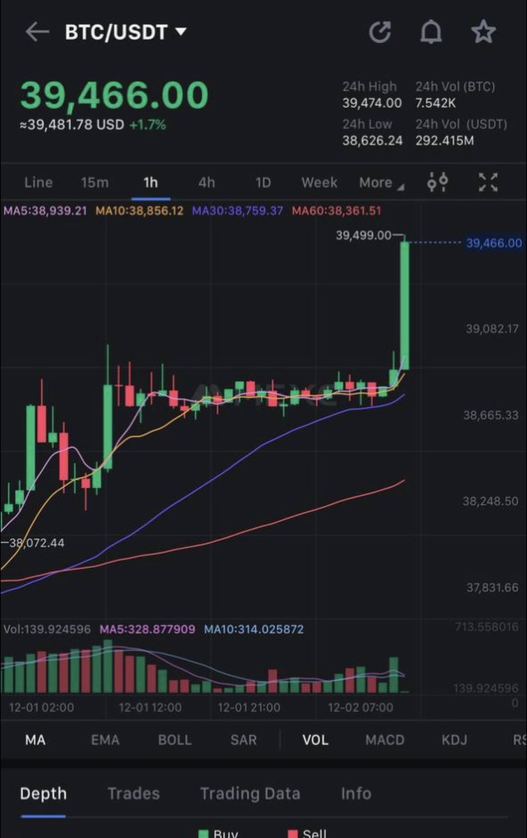 kxochitl tweet media