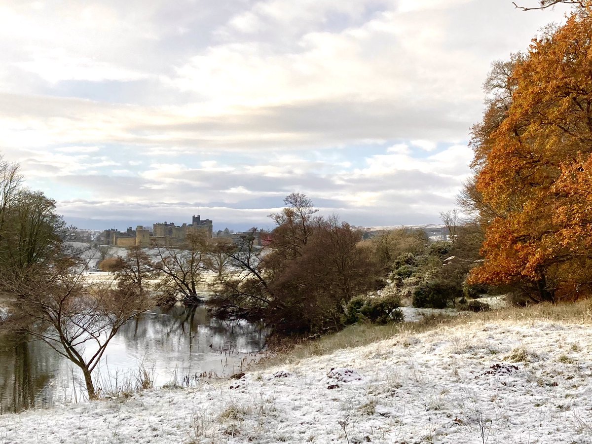 JoC Clem tweet media