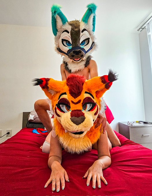 Today this pair of lynx decided to play 🔥  Would you like to watch? 👀  #Murrsuit #Murr #Murrsuiters #Hot<a href="/tag/hot"class="tags"><span>#hot</span></a><a href="/tag/sex"class="tags"><span>#sex</span></a><a href="/tag/wife"class="tags"><span>#wife</span></a><a href="/tag/porn"class="tags"><span>#porn</span></a><a href="/tag/nsfw"class="tags"><span>#nsfw</span></a><a href="/tag/submissive"class="tags"><span>#submissive</span></a><a href="/tag/murr"class="tags"><span>#murr</span></a>