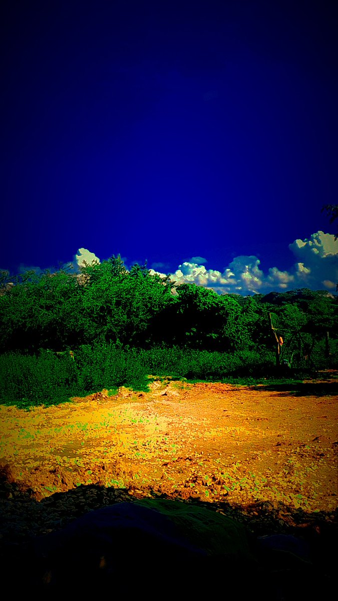 ivanjo10's tweet photo. Paisaje https://t.co/8vV4h2b7ww