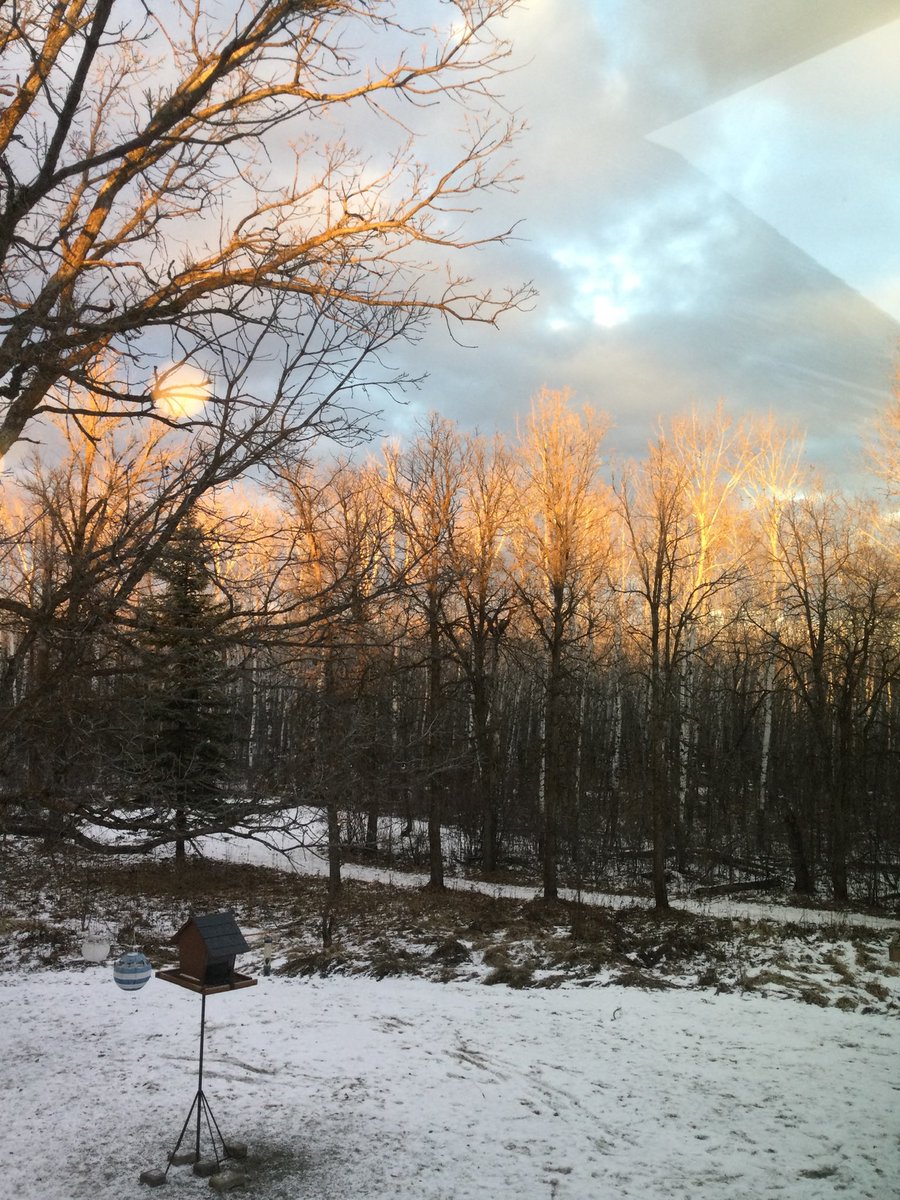 Meagan Mutchmor tweet media