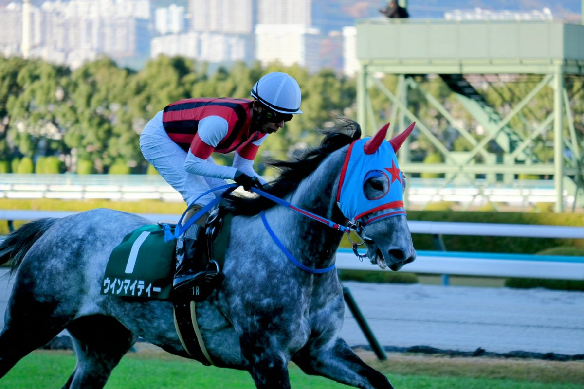 KARAD_Gallop's tweet photo. ウインマイティーと和田竜二騎手は本当に最高のコンビです！
引退レースも和田竜二騎手でよかった！
 #ウインマイティー  #和田竜二 https://t.co/l51MHQzISz
