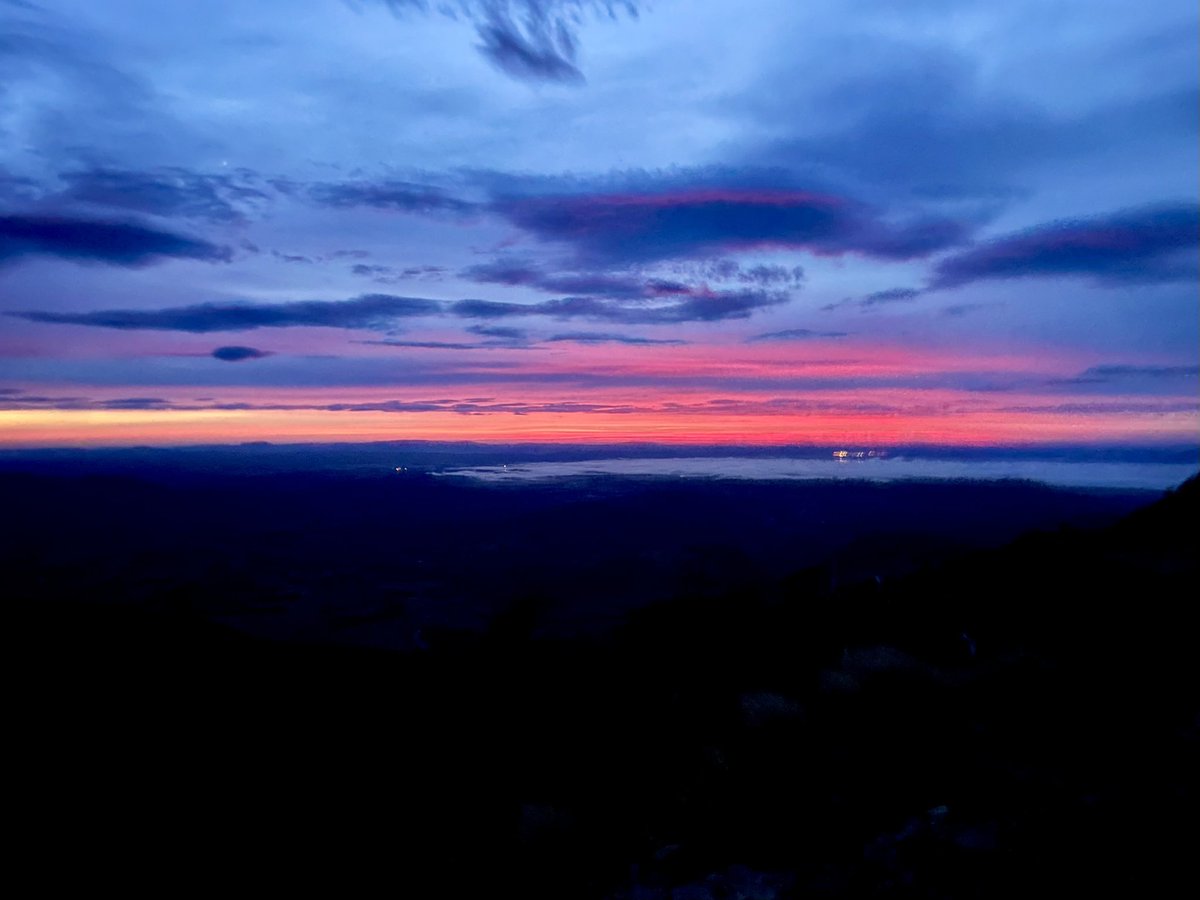 Ciaran Askew tweet media