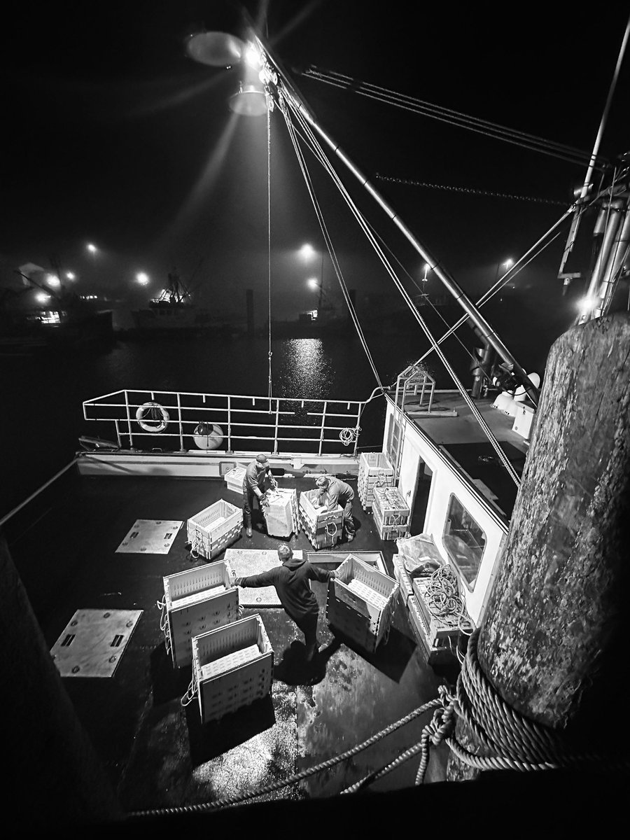 TinaComeaunews's tweet photo. The other end of Dumping Day.
The LFA 34 lobster season opened at 6 a.m. Back at the wharf at 6 p.m. the crew of our family’s lobster boat loads up crates & supplies that didn’t fit this morning. #DumpingDay #novascotia https://t.co/w0rsD6AbeT