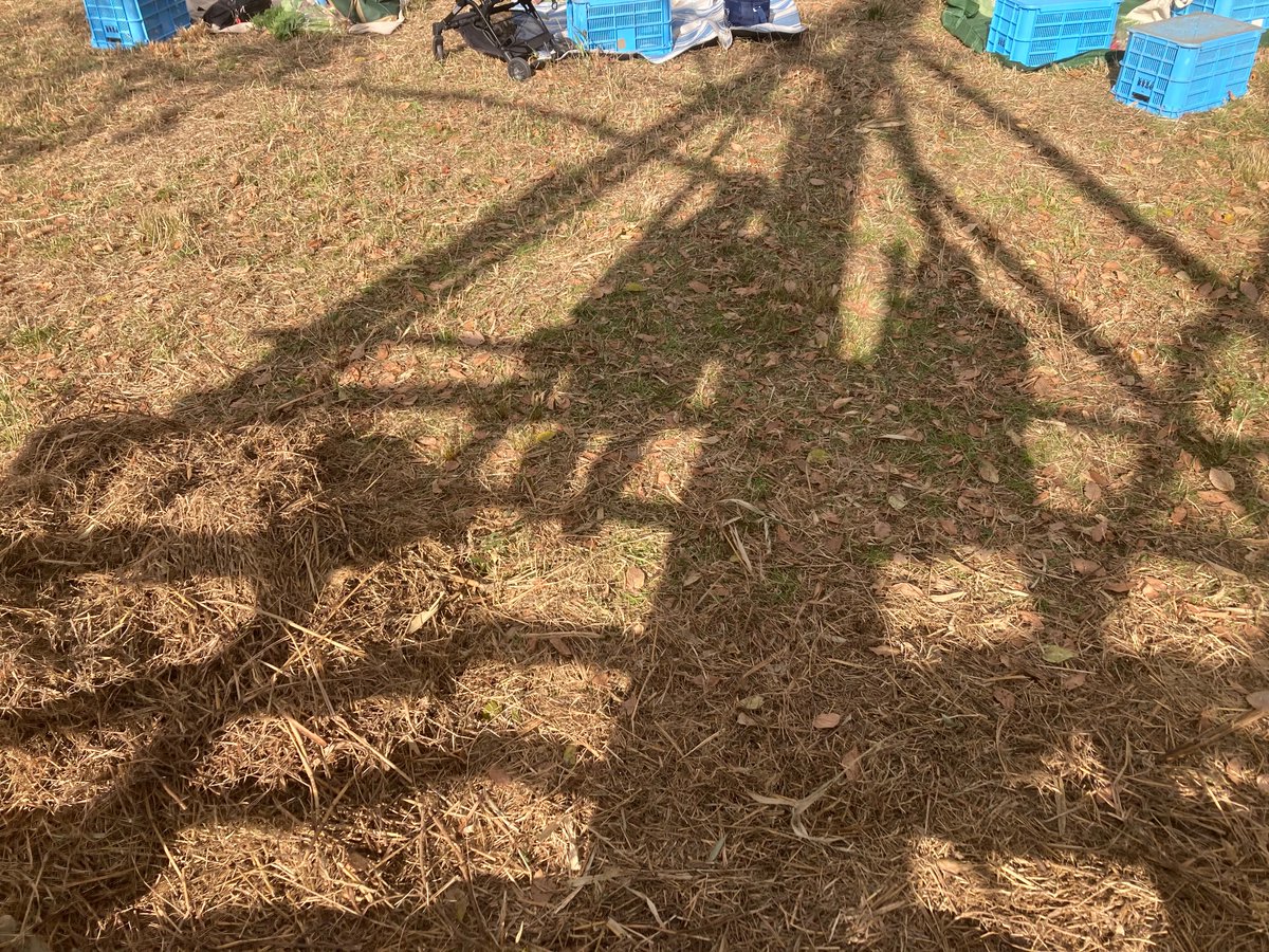 nowhere_umi's tweet photo. 昨日は有機農産の収穫祭🌱
欲しかったシークワーサーげっと。懐かしい人と再会したり、1年ぶりの笹トトロも健在。
生産者と消費者の垣根を超えて、それぞれに楽しむこの空間。新たなイメージも湧き出てワクワク☺️
#有機農家 https://t.co/Rc3V9BtBy8