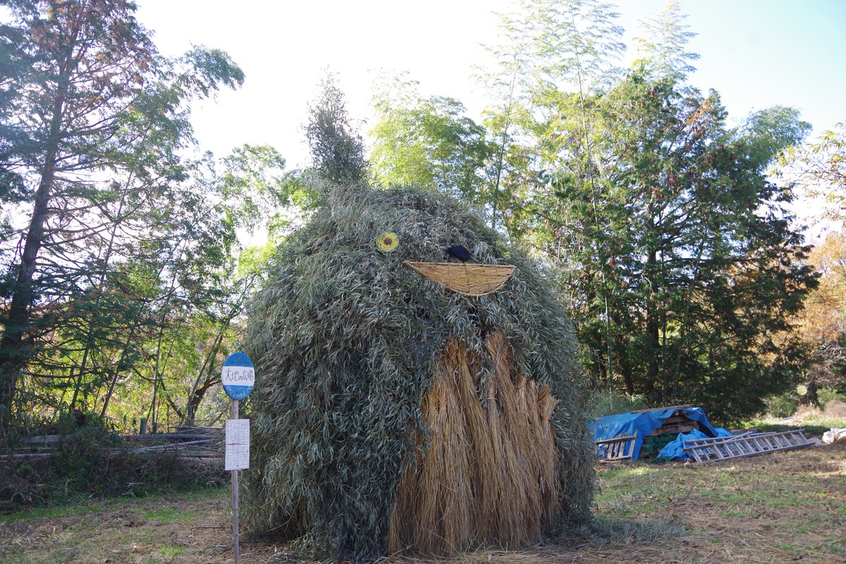 nowhere_umi's tweet photo. 昨日は有機農産の収穫祭🌱
欲しかったシークワーサーげっと。懐かしい人と再会したり、1年ぶりの笹トトロも健在。
生産者と消費者の垣根を超えて、それぞれに楽しむこの空間。新たなイメージも湧き出てワクワク☺️
#有機農家 https://t.co/Rc3V9BtBy8