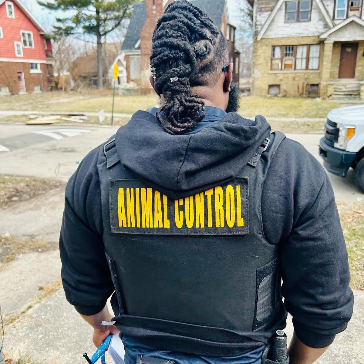 DetroitGSD tweet media