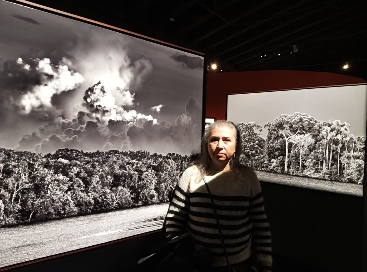 Virginia Mª Guerrero tweet media