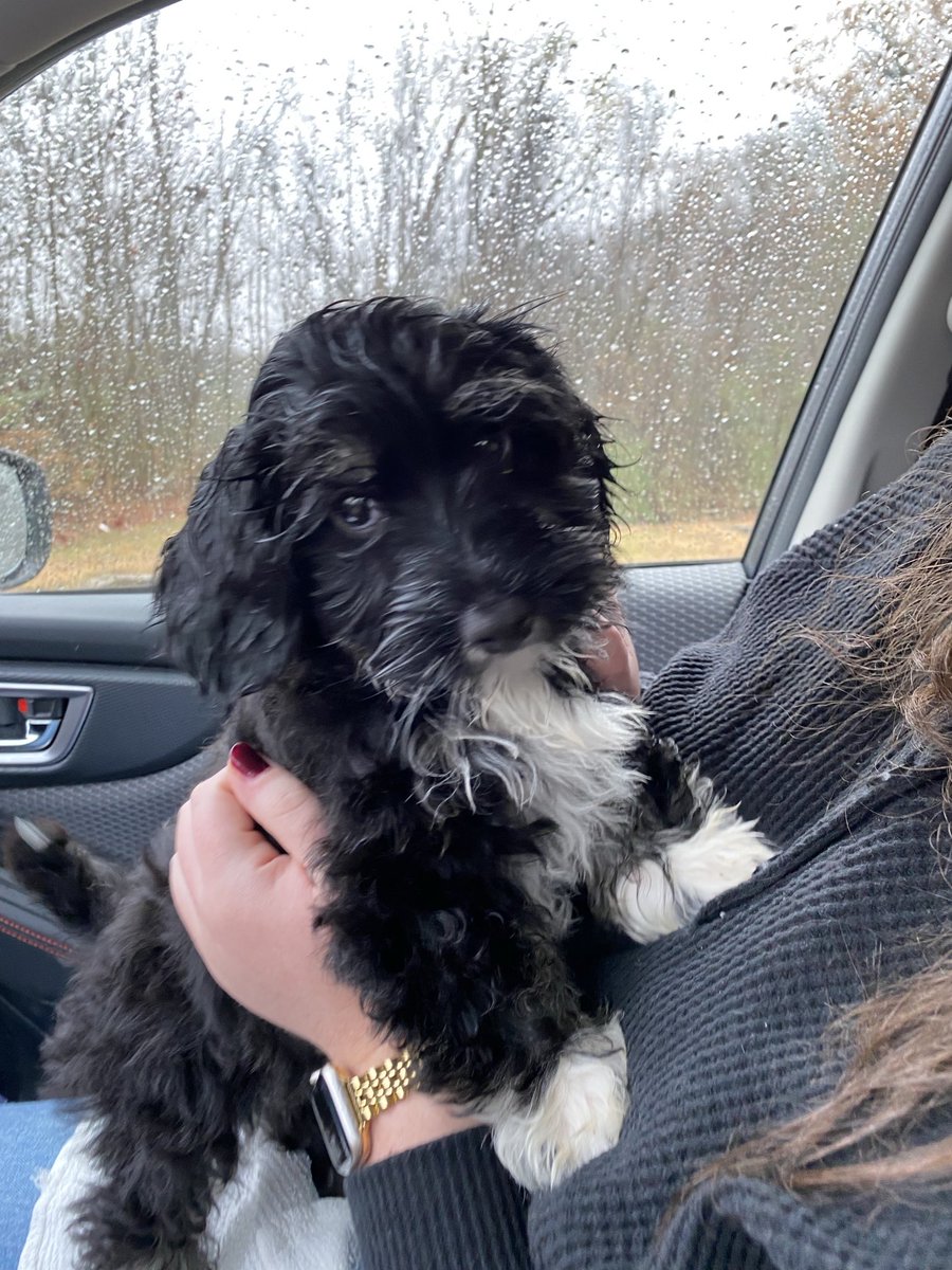 Leah Nelson tweet media