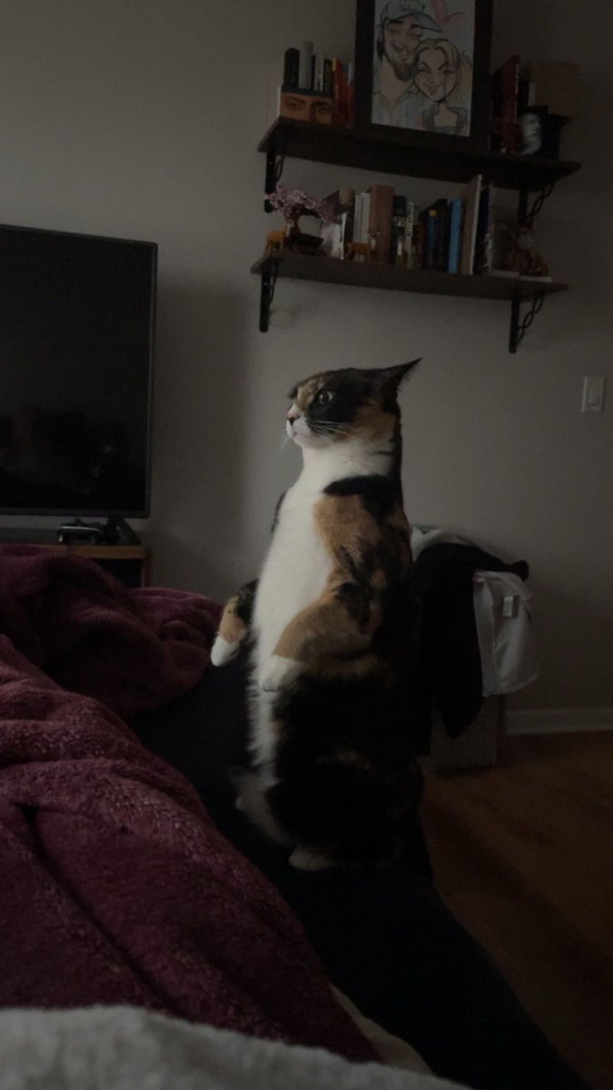 Global 308 tweet media