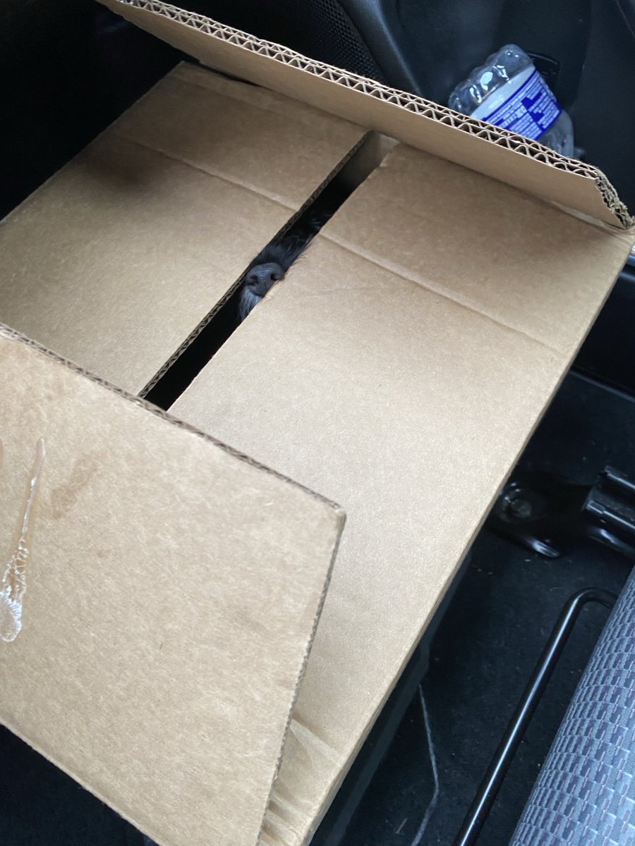 Leah Nelson tweet media