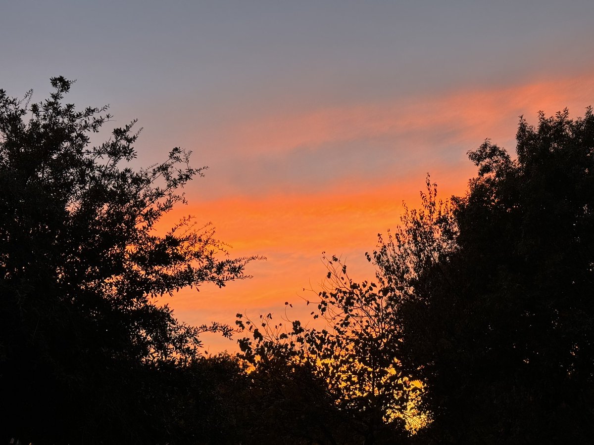 ChikageWeather's tweet photo. #ATXsunset lookinβ good!
#Atx #atxwx #cbsaustinwx https://t.co/rQni6ug3y4 https://t.co/4xEJNlNgR2