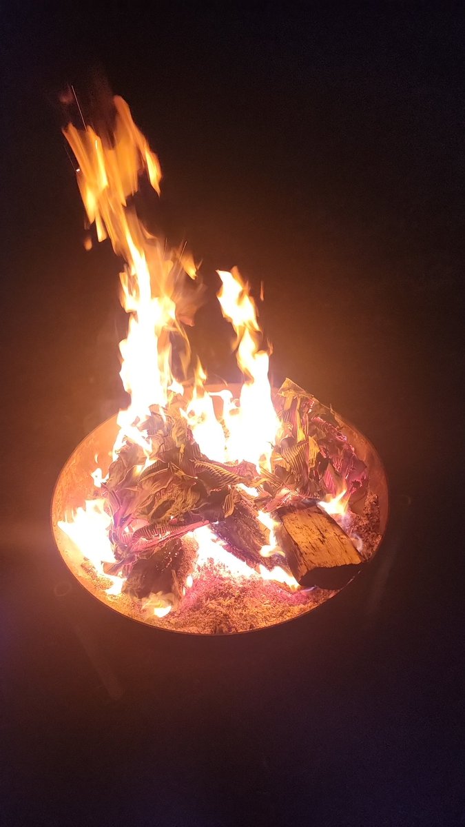 Scout campout. A little rain last night but good day today. Great way to recharge.