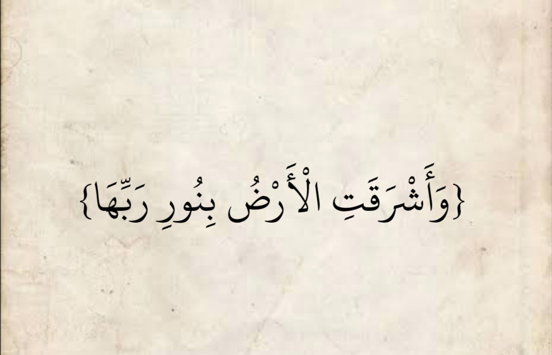 المُصْحَف tweet media