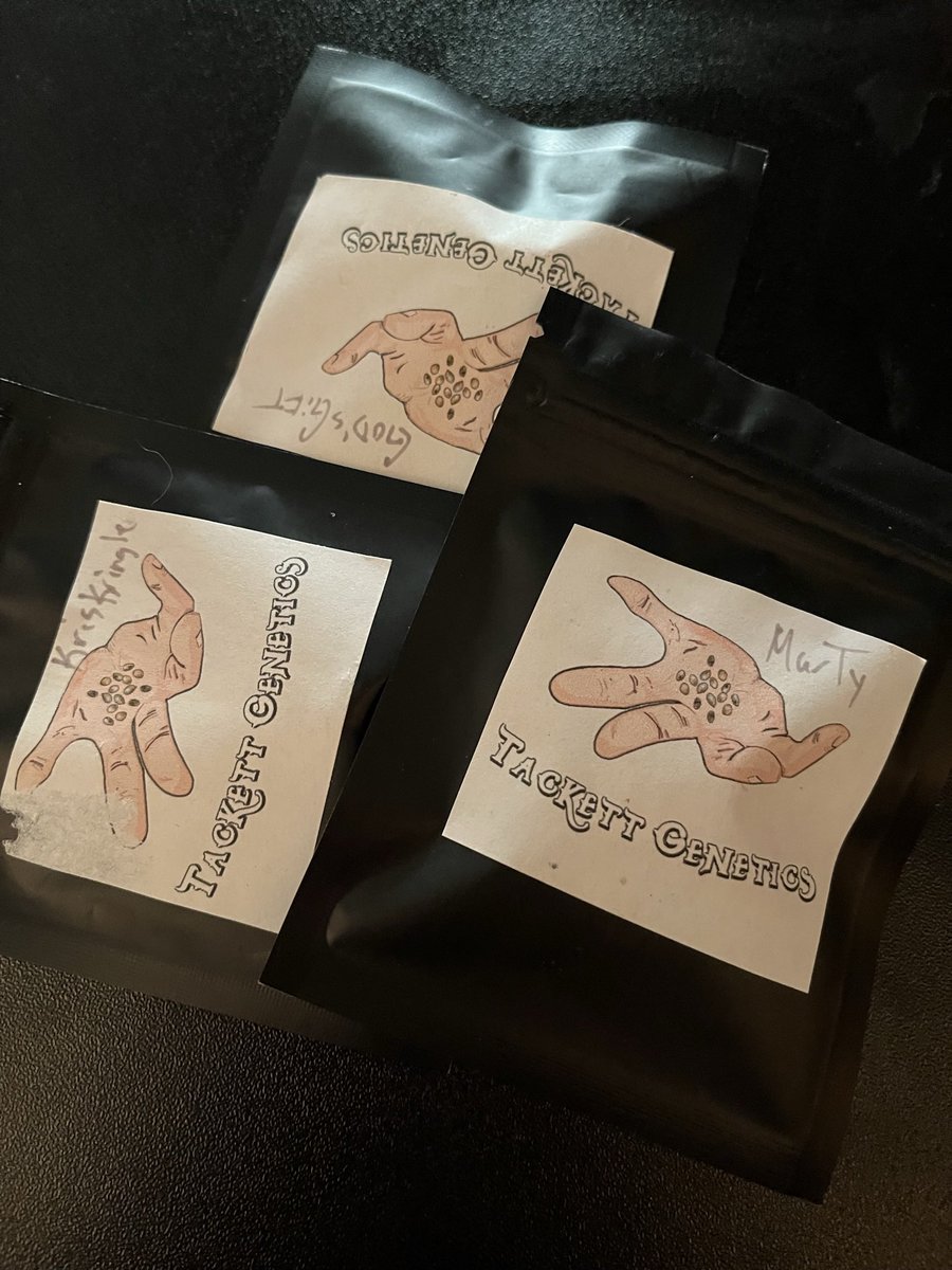 PushnPhosphorus's tweet image. 🚨🚨 seed giveaway 🚨🚨

In the spirit of the holidays, allow me to save you some coin, why spend money on seeds when you can get them for free? 😎 save yo moneys this December! 😘

Ends 12/22/23 
Like, share, retweet. 

#Cannabis #Marijuana #Nosmell