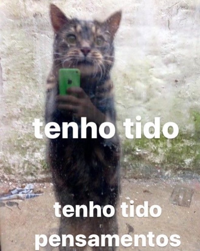 odeiootaco tweet picture