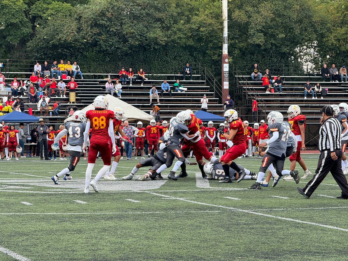 ipndeportes's tweet photo. ¡Cierre triunfal en el Casco de Santo Tomás! 🏈 Los #Coyotes del @CECyT13RFM 🐺 se impusieron con fuerza y aseguraron la victoria en series extras 3️⃣8️⃣ a 3️⃣2️⃣ frente a #Rhinos del CETIS 54 🦏. ¡Emoción en los Interpolitécnicos! ❄💙 
#SomosPolitécnicos 
#FBAIPN 
#PasiónYVictoria https://t.co/qlZGdczP3R