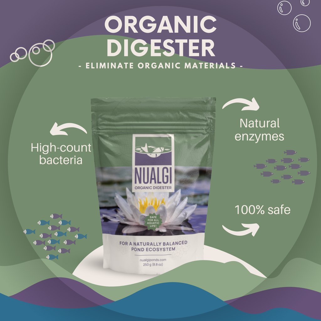 NualgiPonds's tweet photo. If your pond is still operational, it's important to get a head start on dealing with fall debris to ensure a healthy happy pond for spring. Improve water clarity and degrade organic waste, naturally with Nualgi Organic Digester.

Shop today at https://t.co/MILuUrAGPX https://t.co/babN5rs6AR