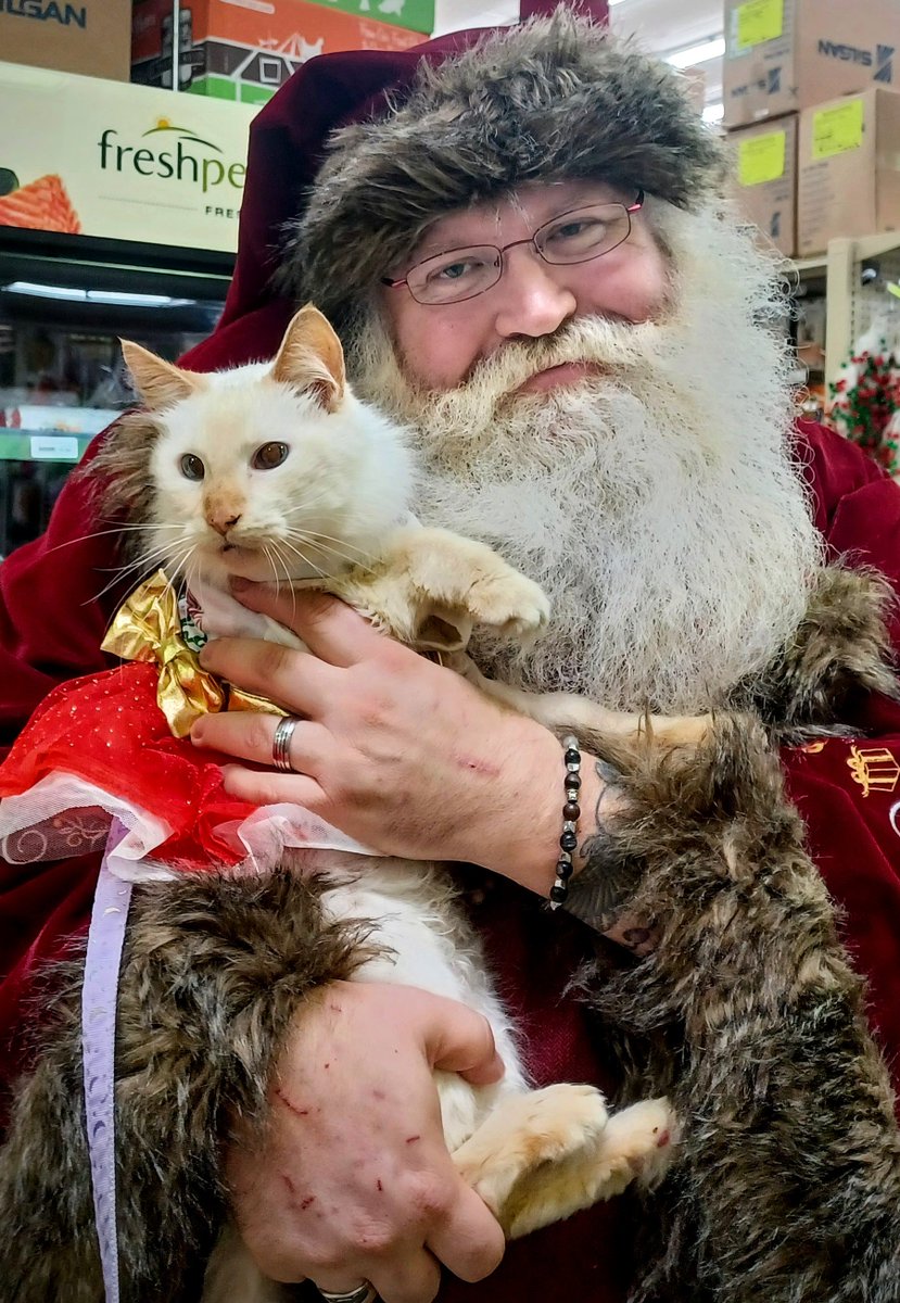 OrielleinThere's tweet photo. Baby at Southern Agriculture with Kris Kringle. 

@Tulsa_SPCA @SouthernAgOK https://t.co/1H1ySWrp2c
