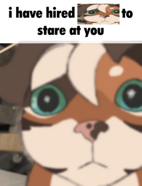 SleepiBytes💤 tweet media