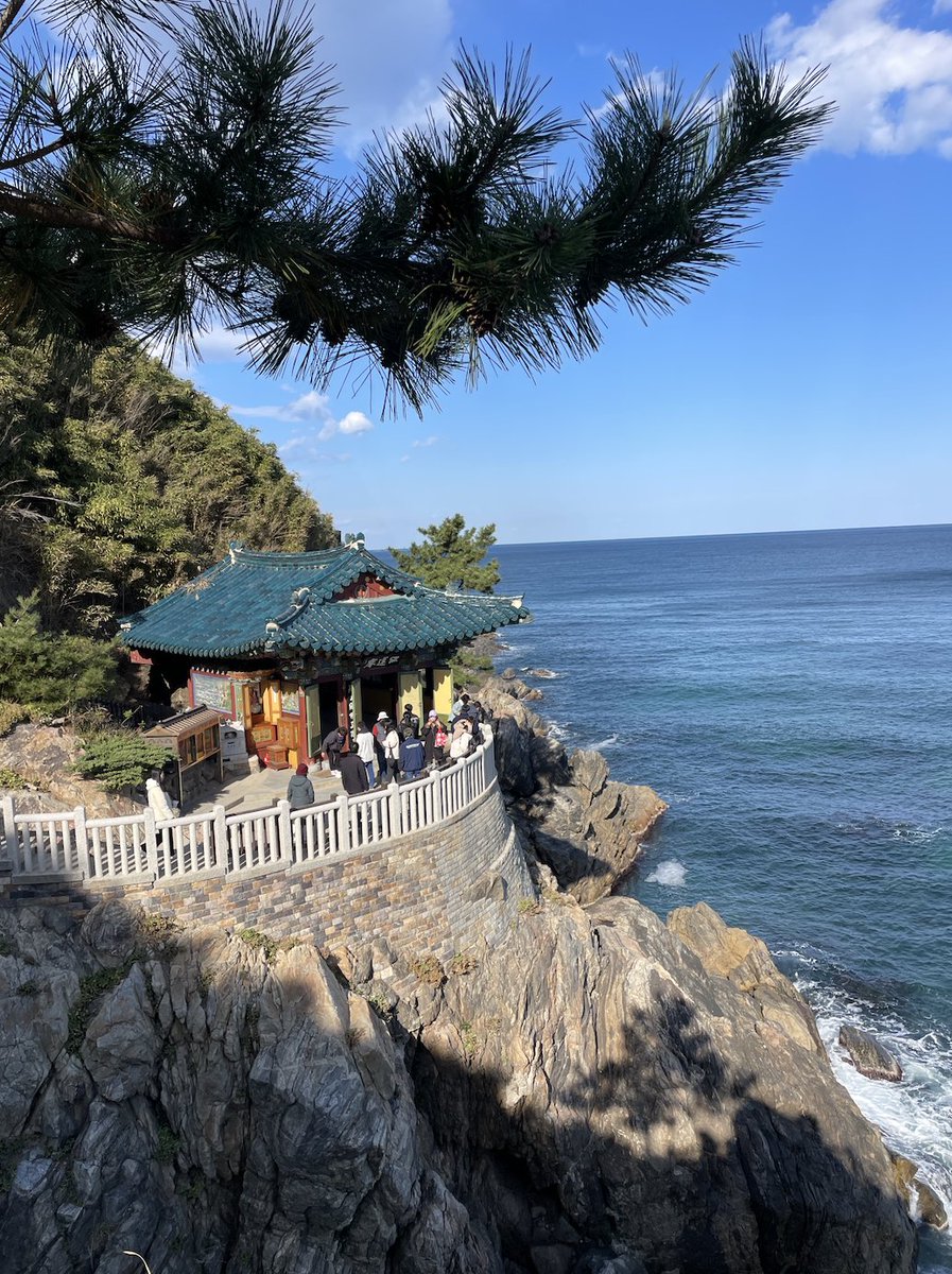 come with me to the wintery sea side town of sokcho, korea 🐚🦐 youtube.com/watch?v=zDNB-9…