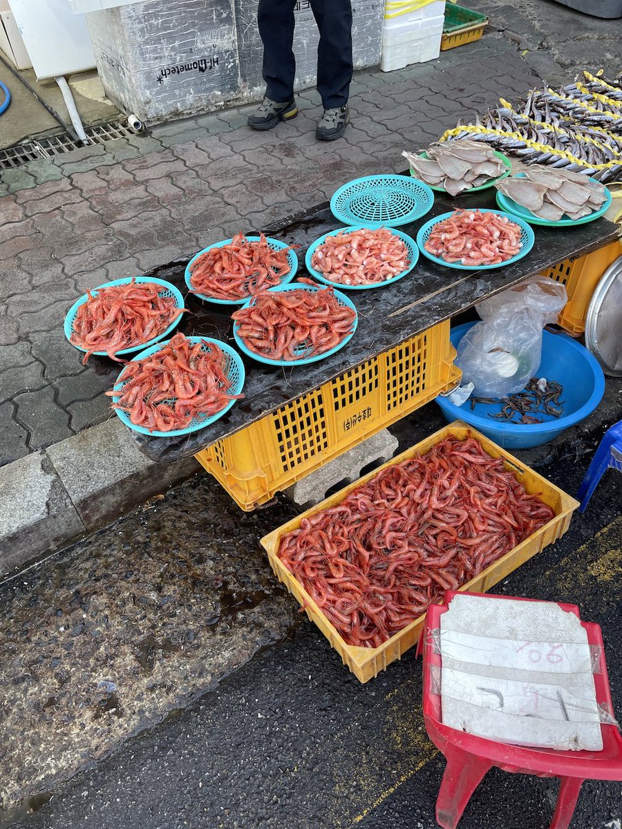 caricakes's tweet photo. come with me to the wintery sea side town of sokcho, korea 🐚🦐 https://t.co/X0dZY4xdGW https://t.co/L1b2fFNaoI