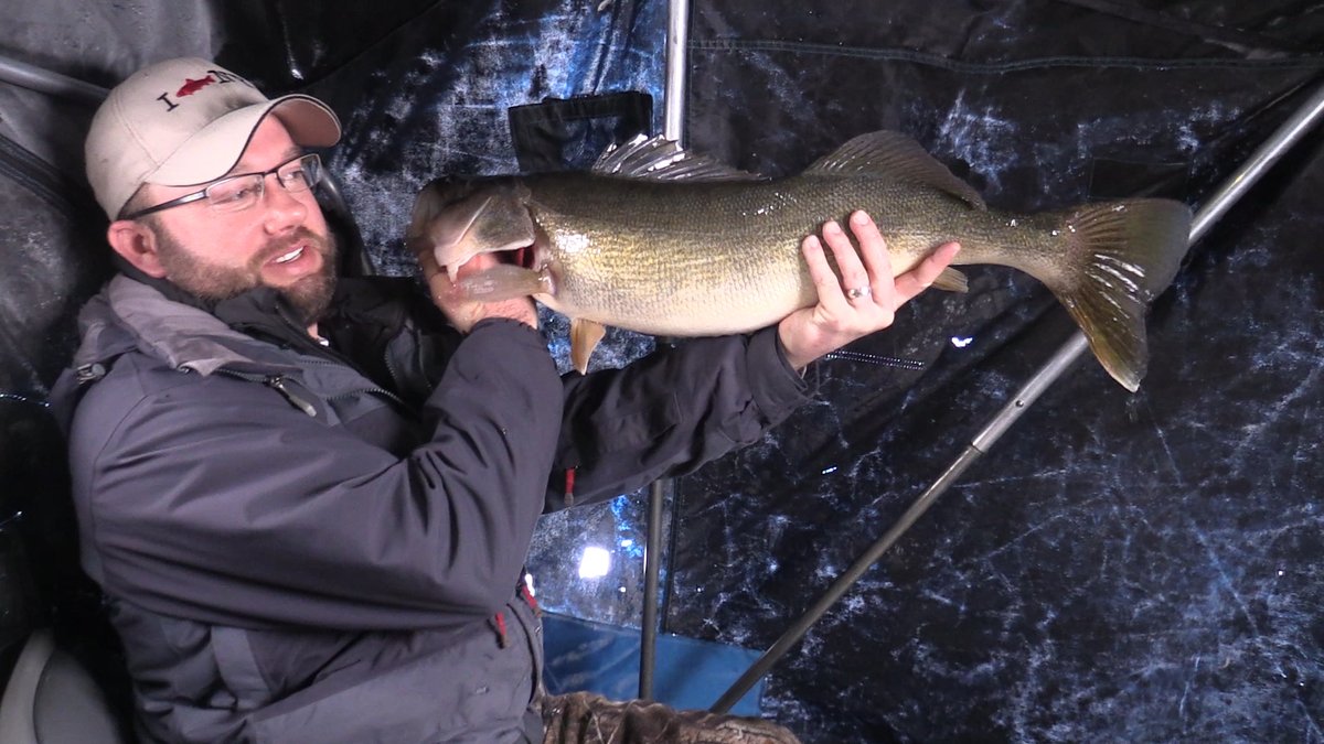 We missed the NY State record for Walleye by one inch with this one - Scott Jamieson 2019