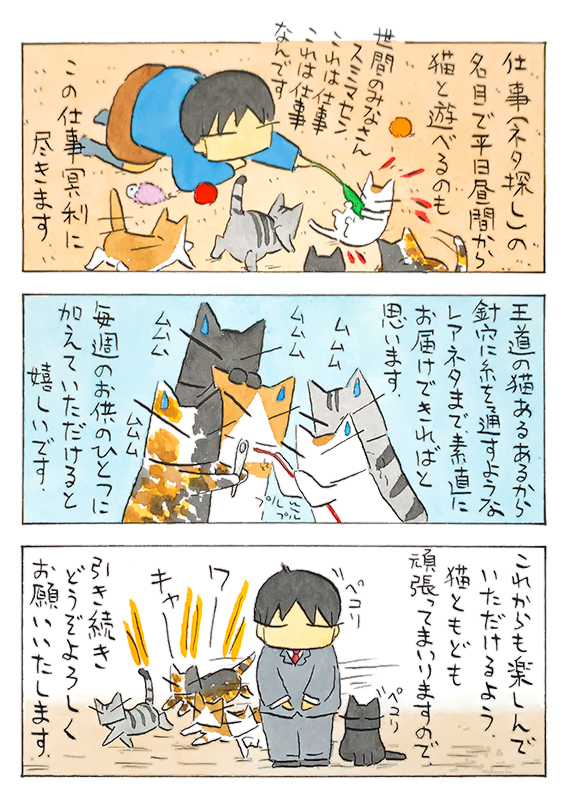 8年目│フェリシモ猫部 