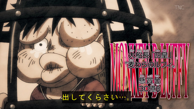 麦わらのルフィ 懸賞金 30億ベリー #ワンピース #onepiece