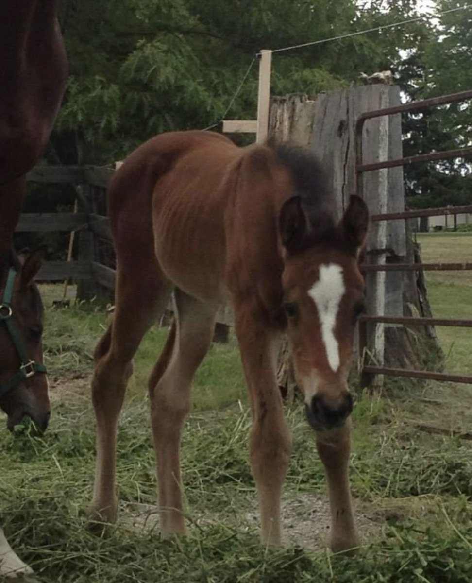 readysetride's tweet photo. Did I spend 2 hours stalking the internet for Abis baby photos? Yes but did I find them? Also yes. https://t.co/rlTLrPpnTy