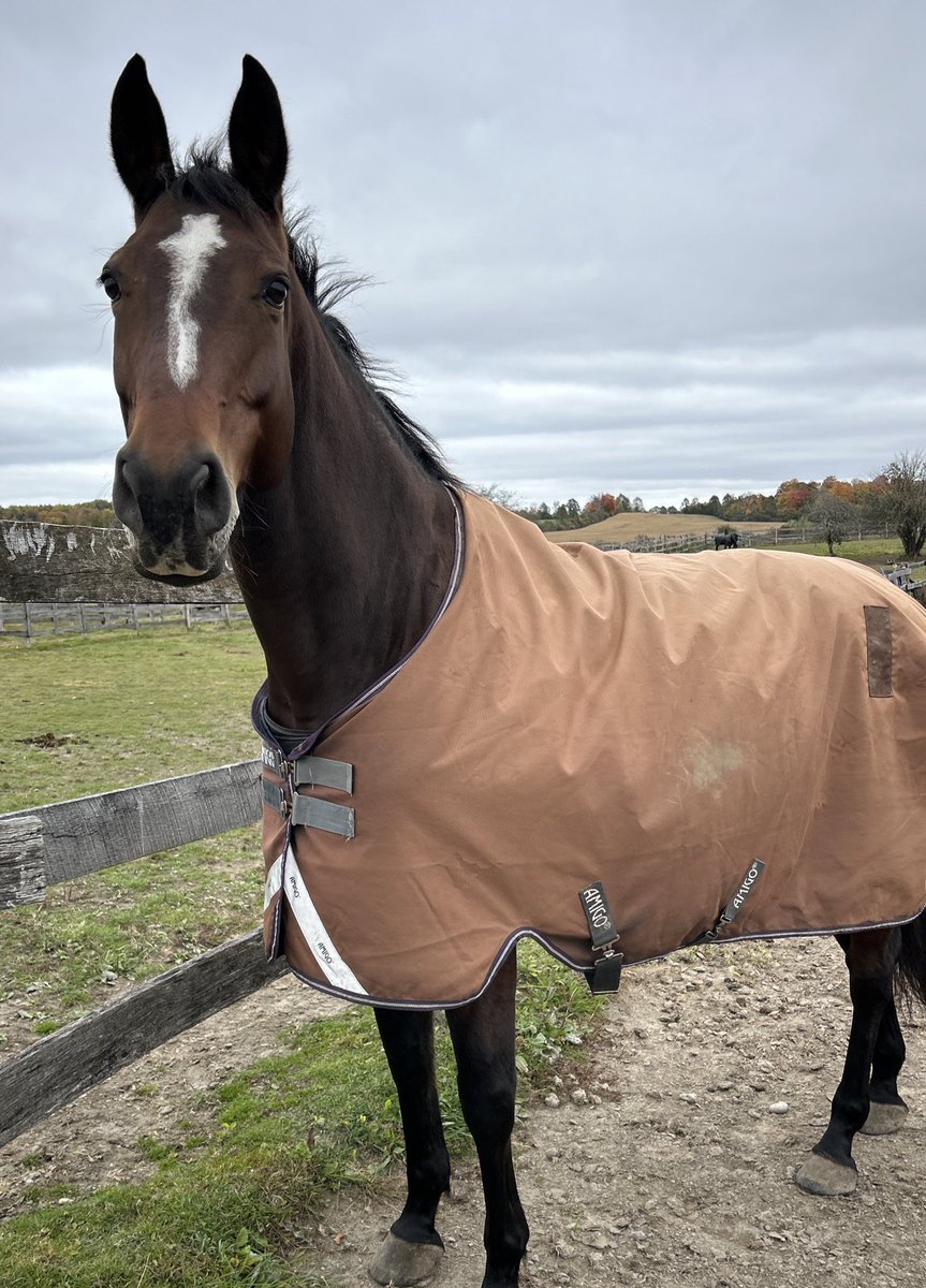 Did I spend 2 hours stalking the internet for Abis baby photos? Yes but did I find them? Also yes.