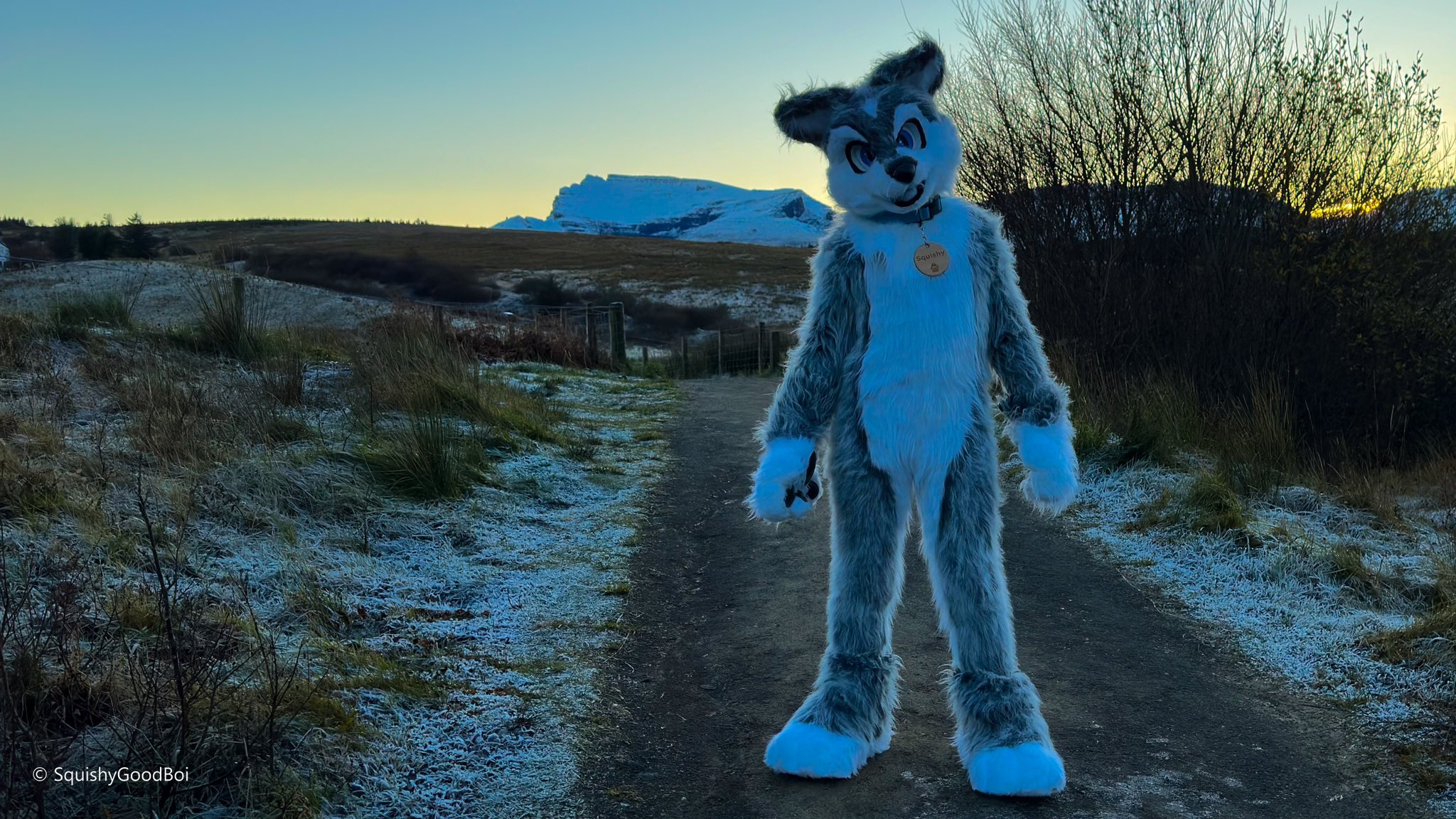 Furry squishy 2024