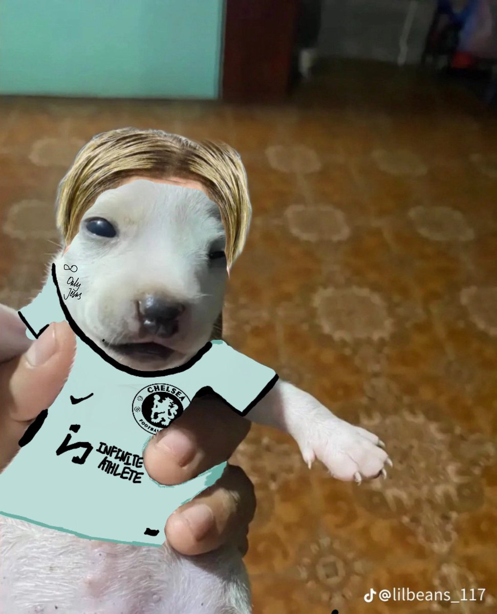 Ingenuous  #KILLNETO #KILLEGHBALU tweet media