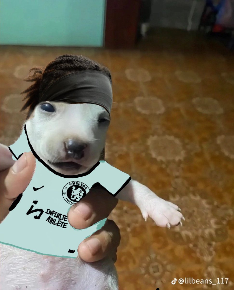 Ingenuous  #KILLNETO #KILLEGHBALU tweet media