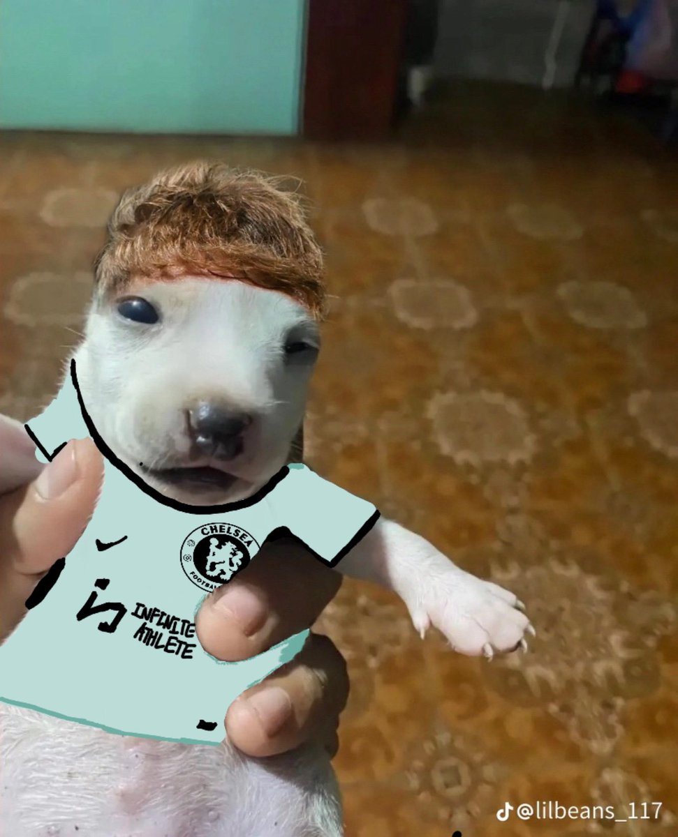 Ingenuous  #KILLNETO #KILLEGHBALU tweet media