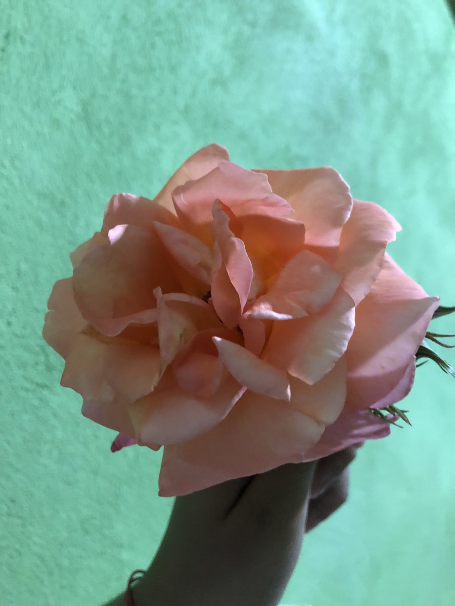 Los detalles del gordo son un mimo al alma