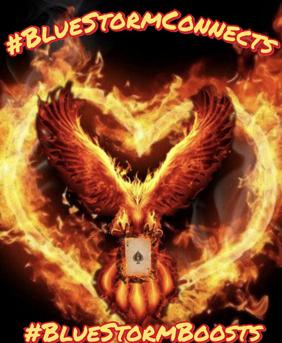 #BlueStormBoosts @dobre_magd85146 @b_time57 @BlueStormComin1 @BethJoh04854084 @007resister @quyenHuynhG @toomuchtan @Mike_Tweets_Too @Jami08885175 @blewhaven @FirehawkJw @Beleafer1 @CokoGay @killergreens1 @CherylGrayson14 @stanley_rrkevin @Yodamonkey2 @bluhue123