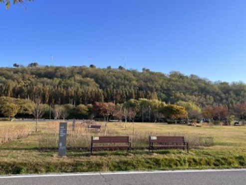Estrella_Aroha's tweet photo. The Moonbin Forest was made as an act of love shared by fans for Moonbin. It was made to honor Bin and provide a safe space for fans to peacefully mourn and remember him in nature which he loved.This tribute honors his memory without exploitation as he deserves 

#판타지오_보이콧 https://t.co/dt71r1ofl0