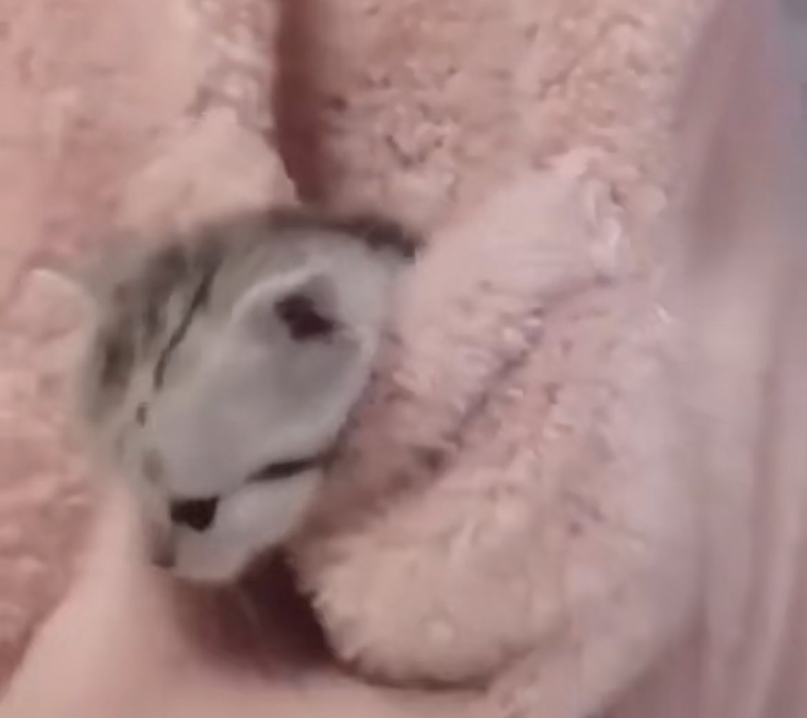 hum hide and seek , .. can yuo finde me?
#humtwt