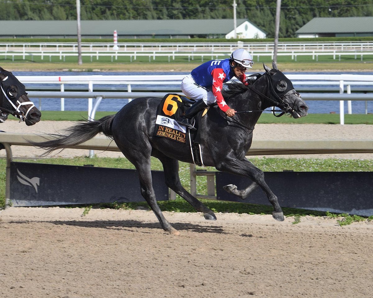 Seminole Chief winning the $300,000 In Reality Stakes. Thank you to owners @grady_brad and David Grund! Thank you to @DonatoLanni, Justin Casse, and @opmac728 for buying him. 🏇🏇🏆🏆
