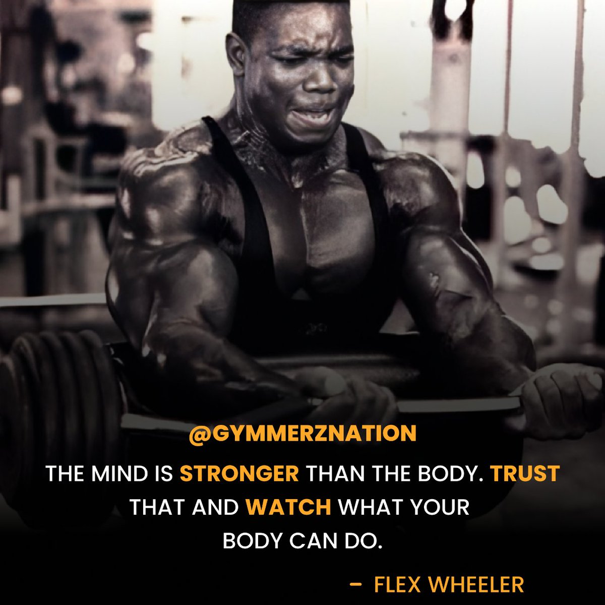 amscybermedia's tweet photo. Your determination will pave the way to greatness.💪 Follow @Flex_Wheeler
Individually customized fitness programs starting from $5USD.
#gymmerznation #gymmerzmotivation #gymmerznationfitnessprograms #motivationmonday #fitnessfreaks #fitness #bodybuildingproblems #flexwheeler https://t.co/bb4zf7Fl6L