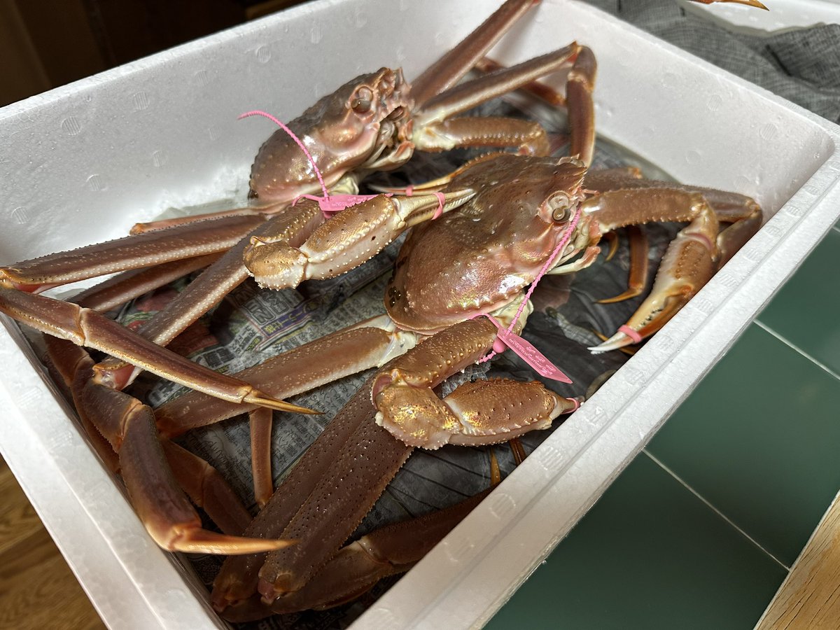 しまった💦
バンパー買うつもりがカニ🦀買っちゃった😆