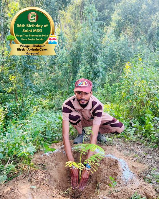 ShivKum69661654's tweet image. The best gifts come from the heart and earth. 🌲Tree Plantation By DSS Volunteers from Shahpur, Ambala Cantt, Haryana on the occasion of Saint Dr. MSG's Birthday. #56thBirthday #SaintDrMSG #DeraSachaSauda #TreePlantation