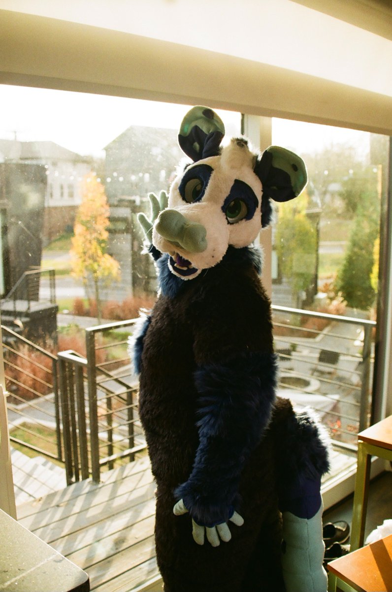 nidopug's tweet photo. My husband got some amazing film photos of me on our anniversary trip🥰💙🩵 https://t.co/WXYG86CdW4