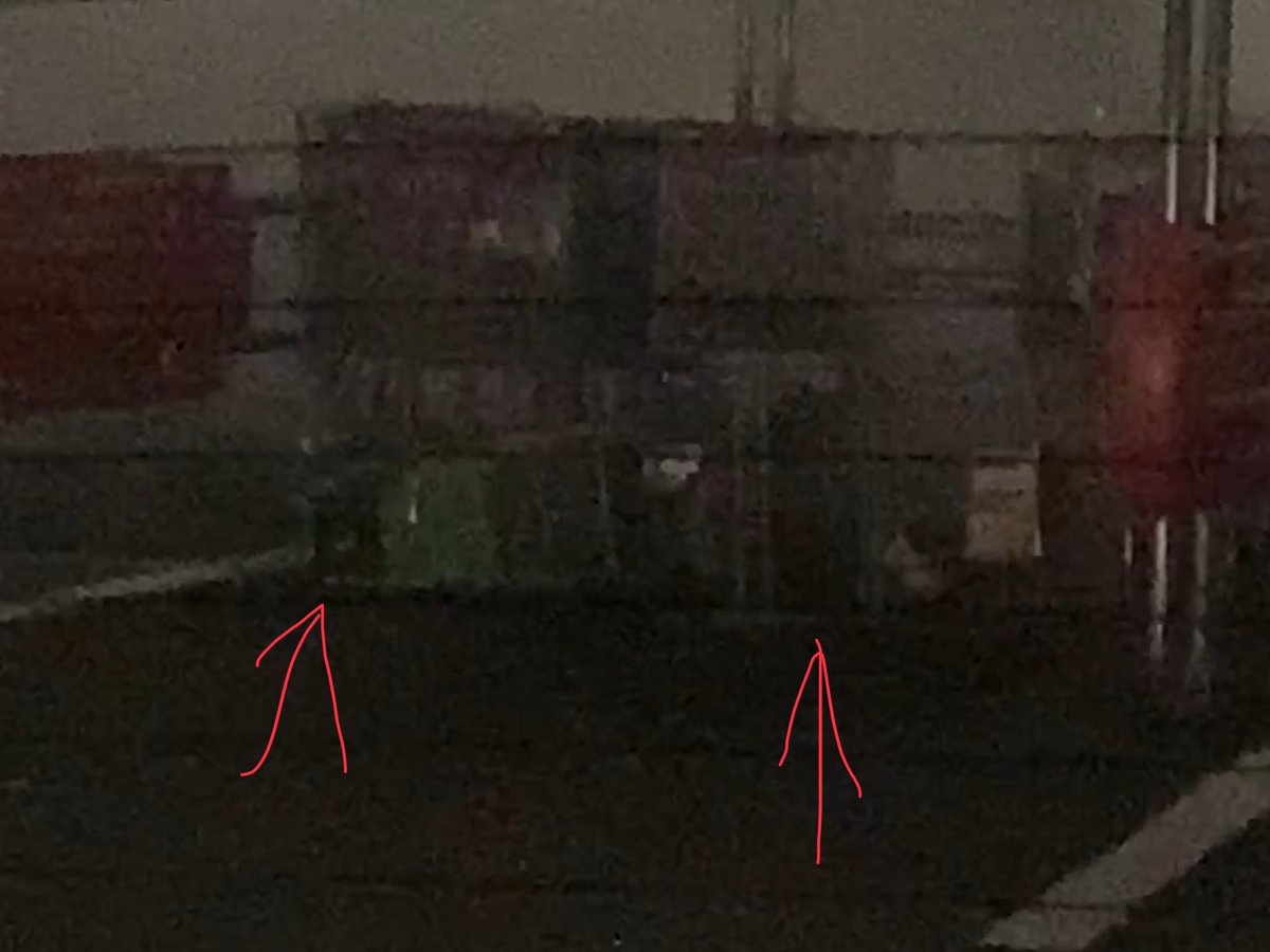 The fog was so thick that I was in a crash (I couldn’t see the green cart ahead of me until I rear-ended it, causing it to fall over on its side, while the cart I was using began to lean to the right and eventually it also fell over)