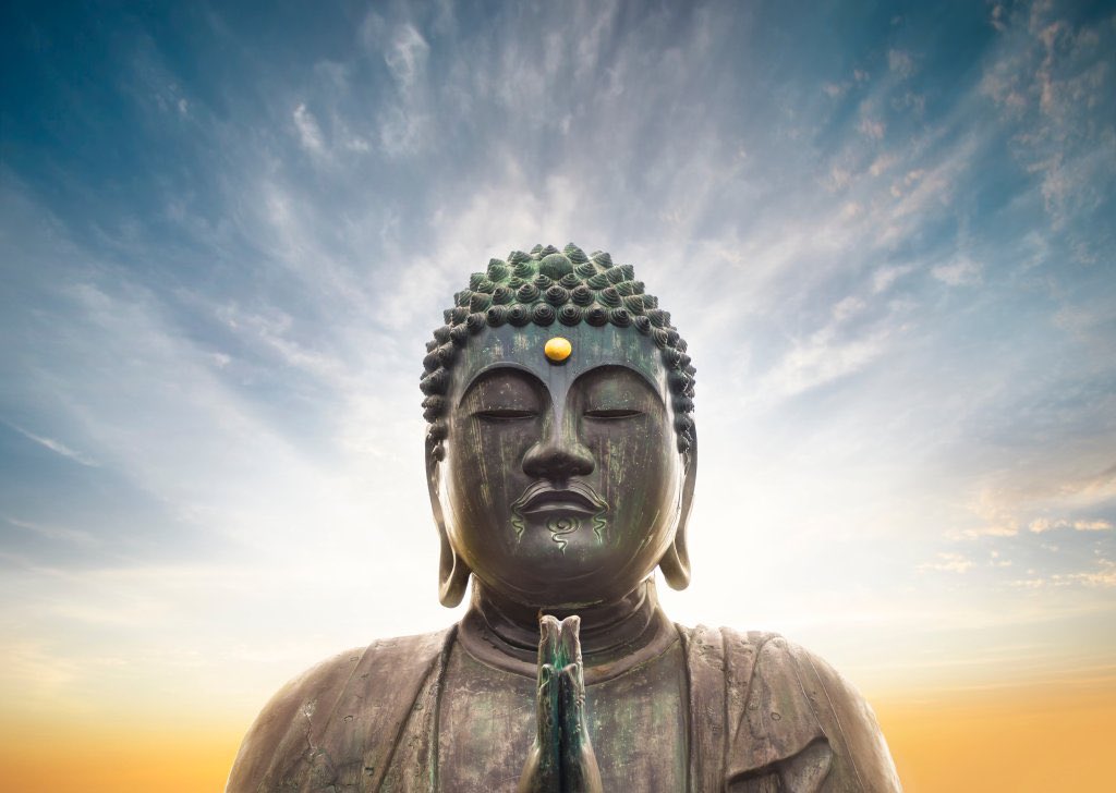 悟りを開いたようです。
#柴犬のいる暮らし  #柴犬 #悟り