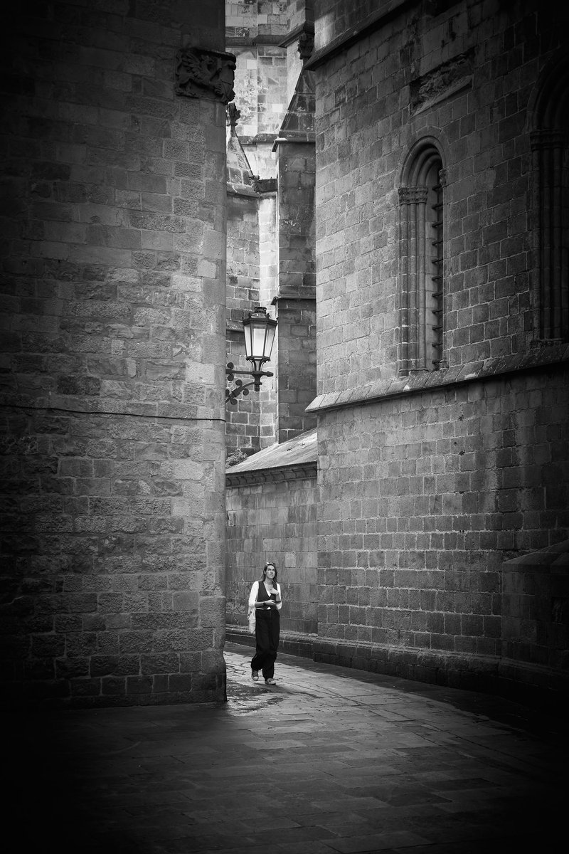 Amazement

📸 Fujifilm X-T4

📷 Fujinon XF 35mm F2 R WR

⚙️ ISO 160 - f/2.0 - Shutter 1/320

#barcelona #city #street #alley #streets #streetphotography #streetphotographer #urban #urbanphotography #cathedral #barcelonacathedral #gothic #gothicart #gothicarchitecture