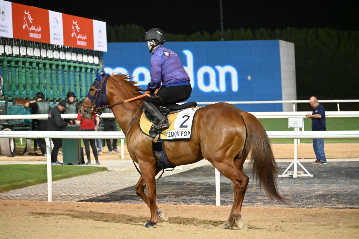 レモンポップになら種付けされてもいいと思っていたけど、手が出る