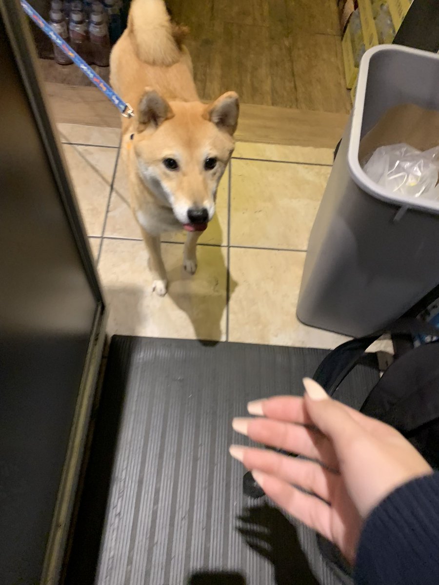 almostvomited's tweet photo. udon i love u more than the teenage boys that are ur owners ever will. https://t.co/liuzE9BMoF