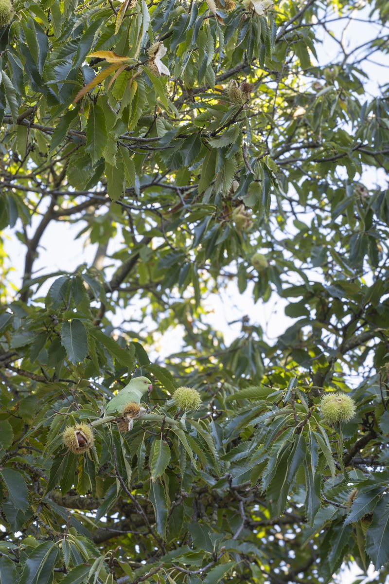 Andy Denial 📸 tweet media